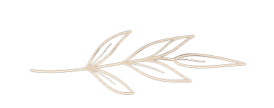 Ornamen Daun